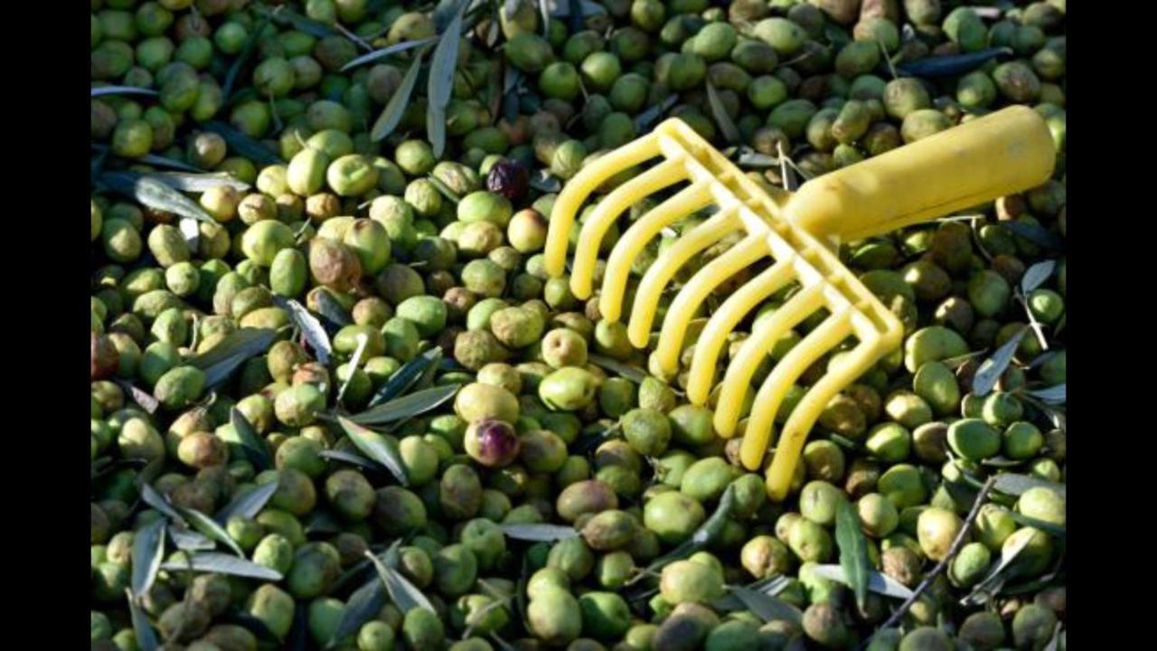 Hebergements Des Posas Sampzon Bagian luar foto